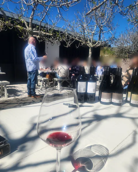 A Black Barn winemaker hosting a group tasting in Fig Alley under bare fig trees, bottles of Merlot and Syrah on the table
